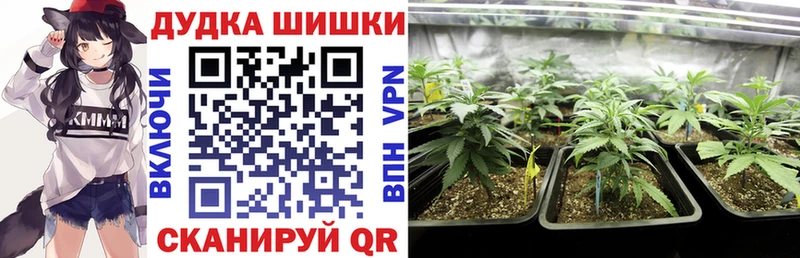 Каннабис White Widow  где купить наркоту  Новоалтайск 